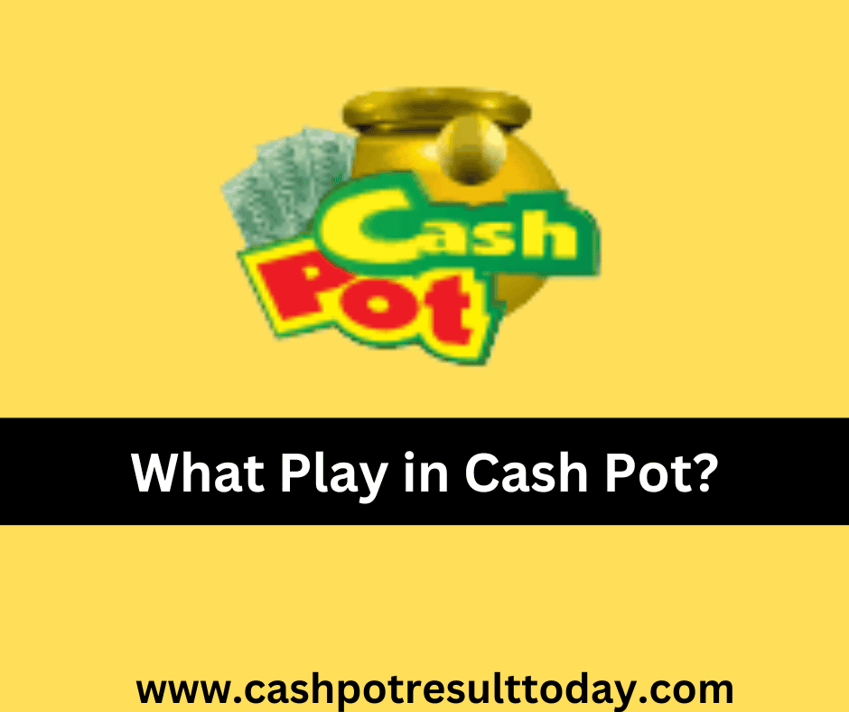 cash pot prediction